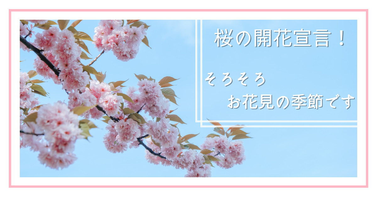 桜開花　お花見のアイキャッチ
